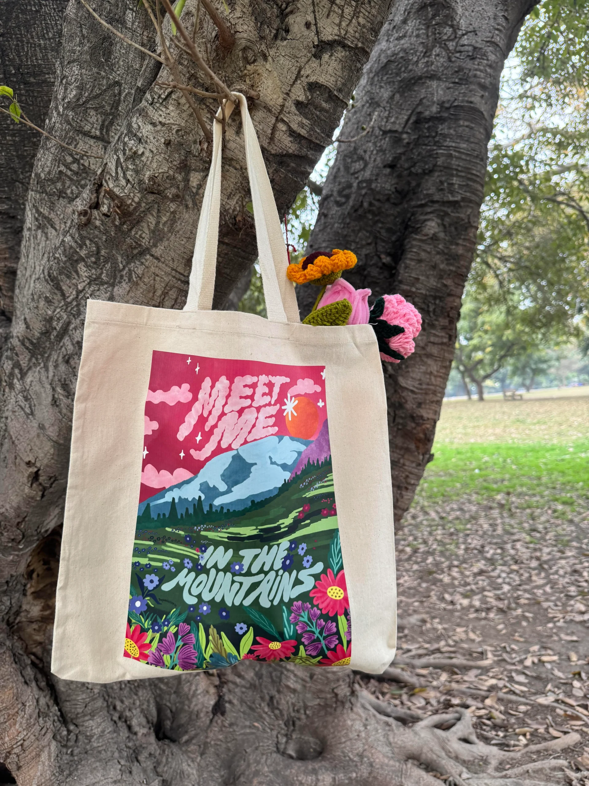 Meet Me in The Mountains